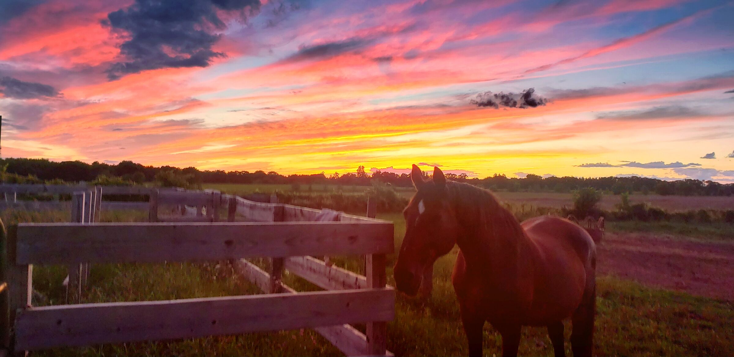 Pink skies by the fence